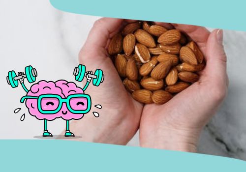 Hạt hạnh nhân tốt cho sự phát triển não bộ